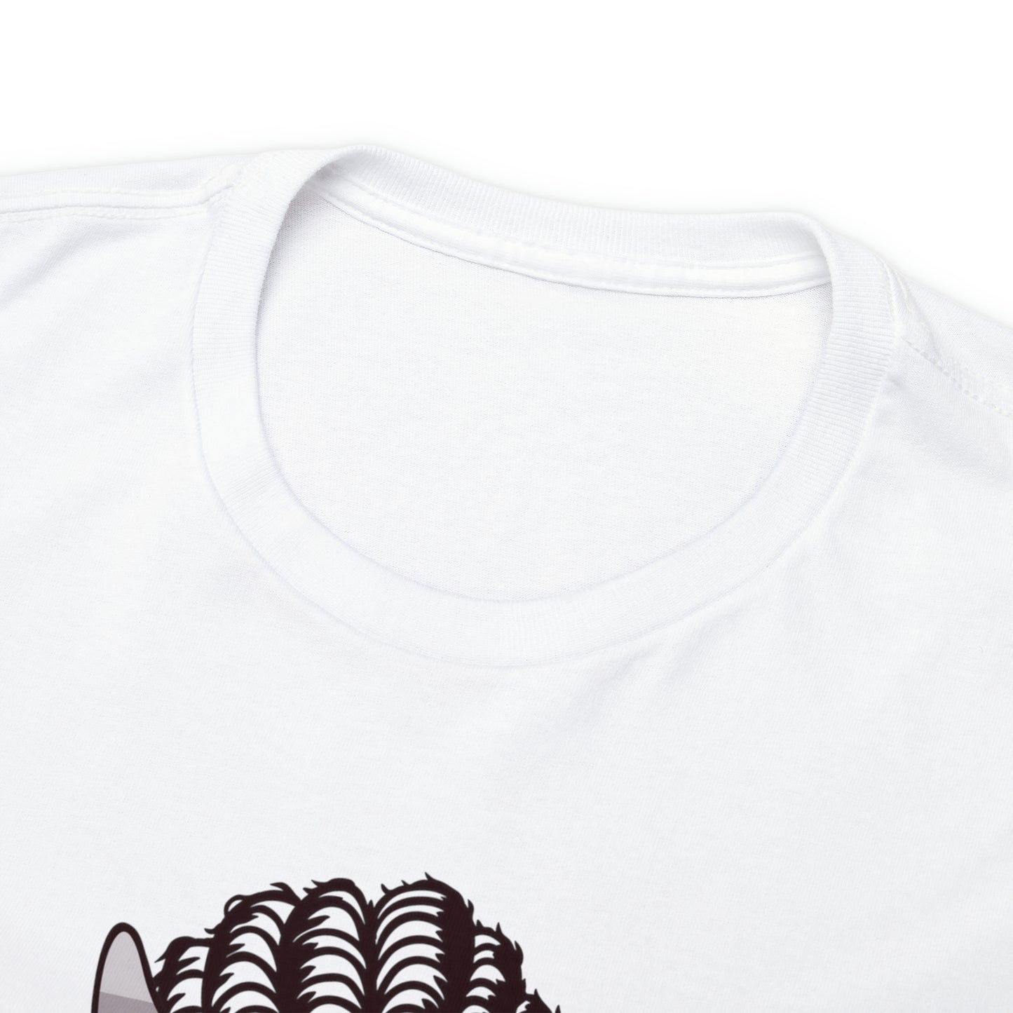 Boricua, Sassy & Bossy Tshirt Graphic Tee