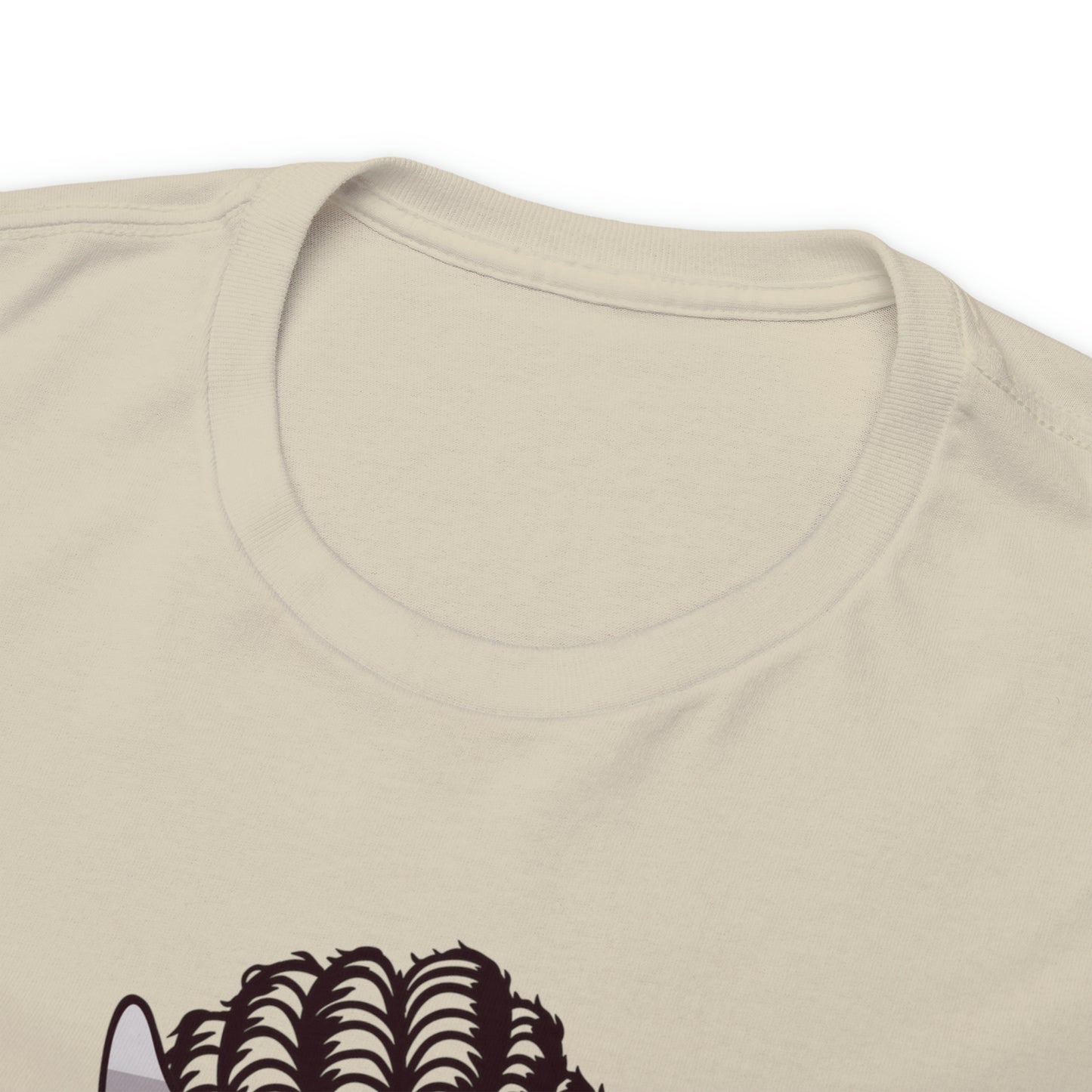 Boricua, Sassy & Bossy Tshirt Graphic Tee