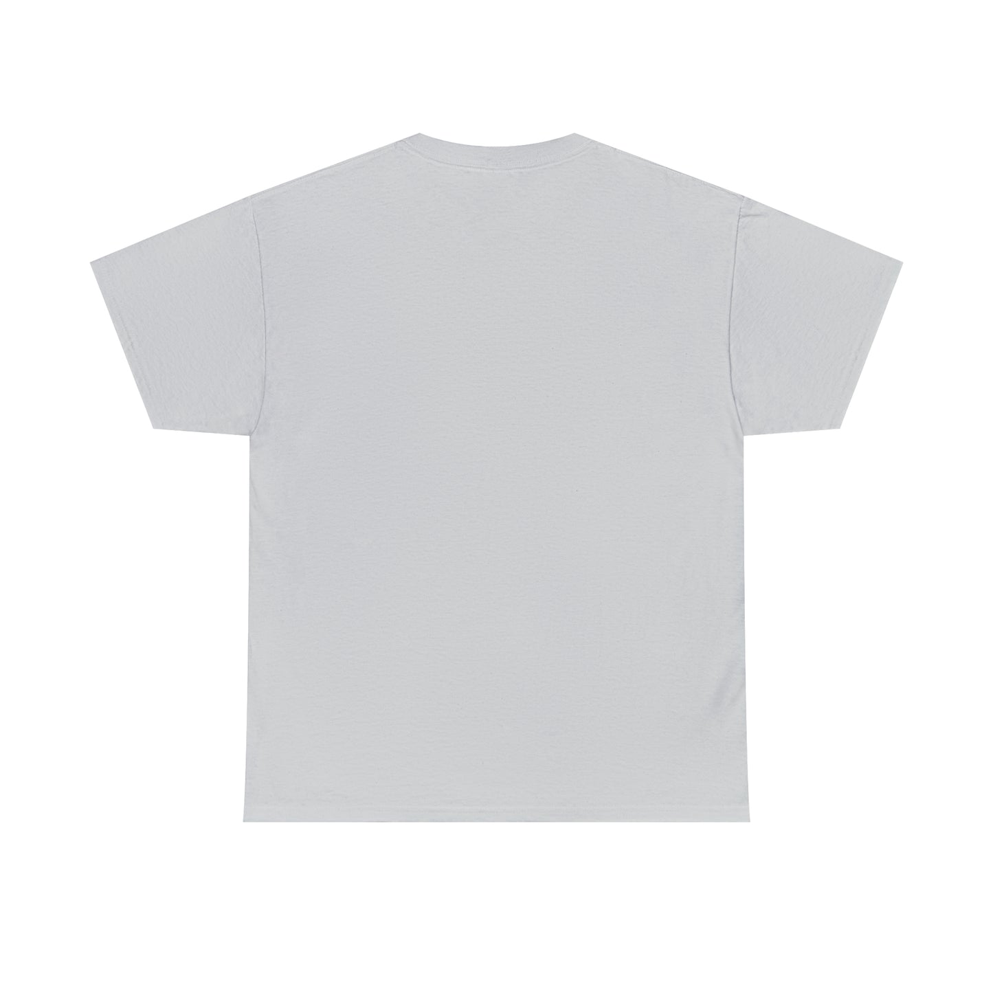 Let The Ordinary Become Extraordinary Graphic Tshirt Unisex Heavy Cotton Tee