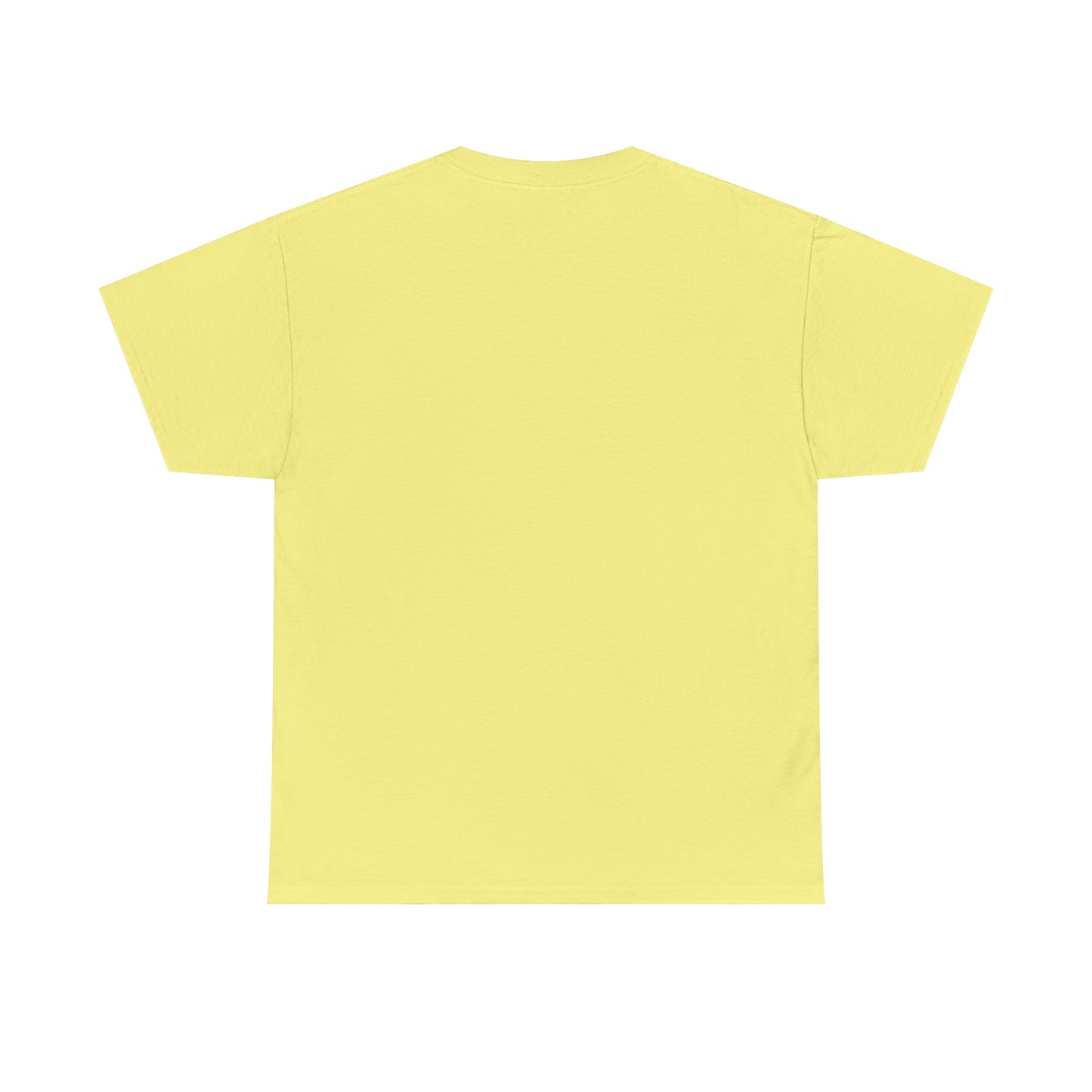 Heal Without An Apology Graphic Tshirt Unisex Heavy Cotton Tee